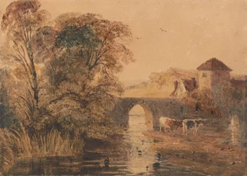 In der Nähe von Norwich